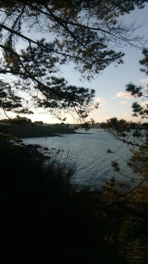 Tente 3 Chambres, Petit Camping Familial Vue Mer Plestin-les-Grèves Exteriör bild
